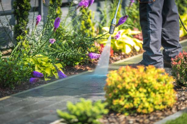 Best Driveway Pressure Washing  in Forest Heights, MD
