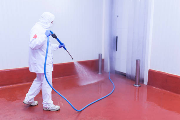 Best Sidewalk and Walkway Cleaning  in Forest Heights, MD